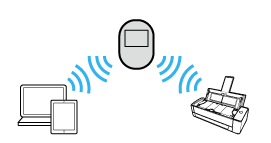 Privacy Separator Function (Disabled)
